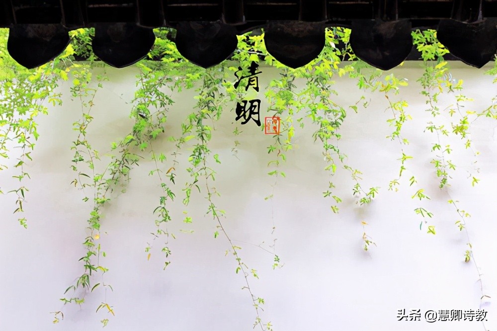 与清明节有关的作文（关于清明节的作文优秀作文）