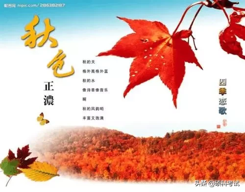 春夏秋冬的诗句有哪些（描写4个季节的诗句）