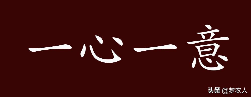 全心全意的意思是什么（全心全意的意思以及造句）