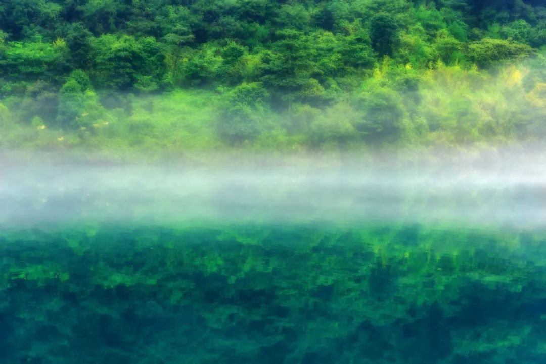 写景的诗句有哪些（写景古诗词大全及赏析）