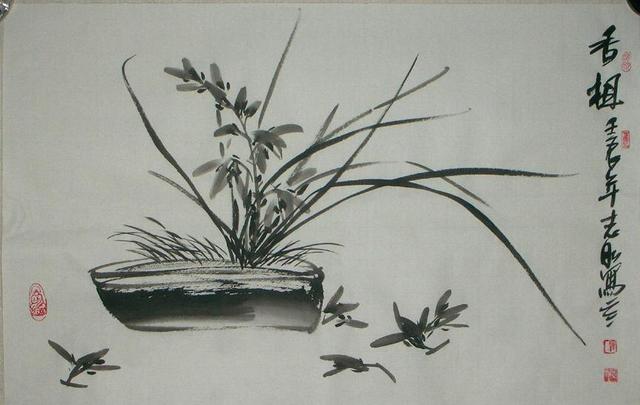 兰花诗句经典名句（描写兰花的诗句古诗）