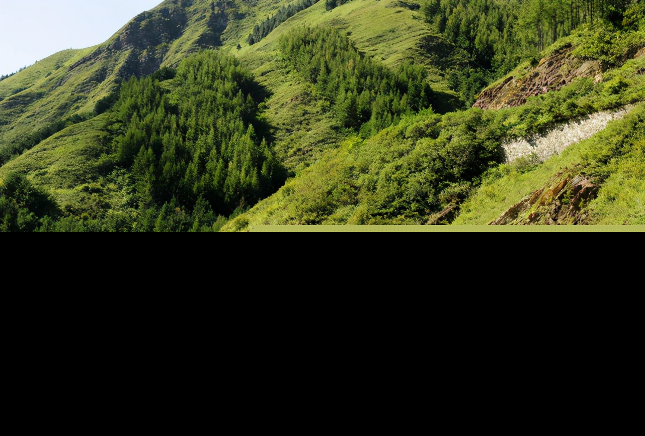 塞北江南是指哪里（关于塞北江南的解释）
