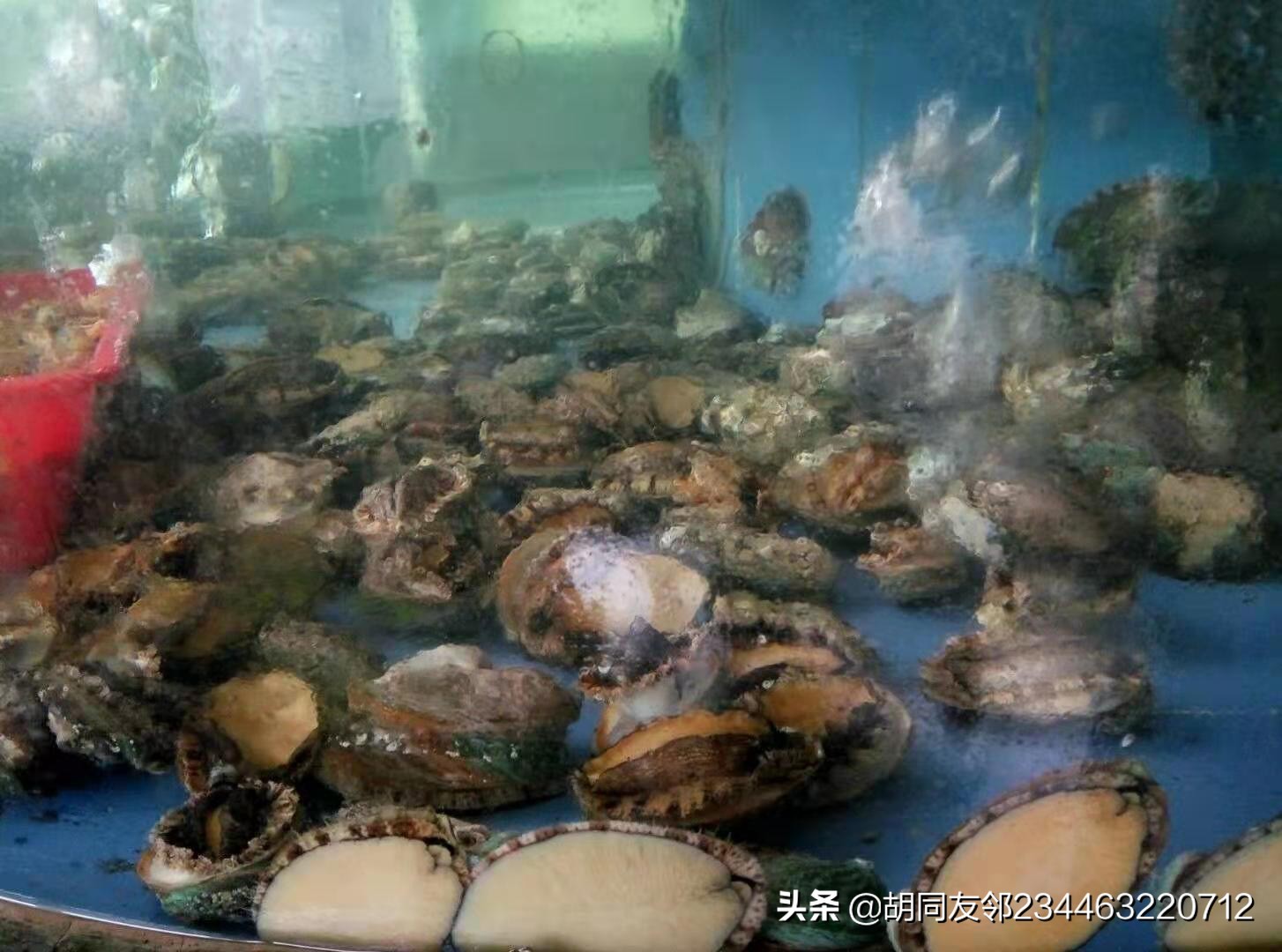 浑水摸鱼的意思是什么（浑水摸鱼的解释和造句）