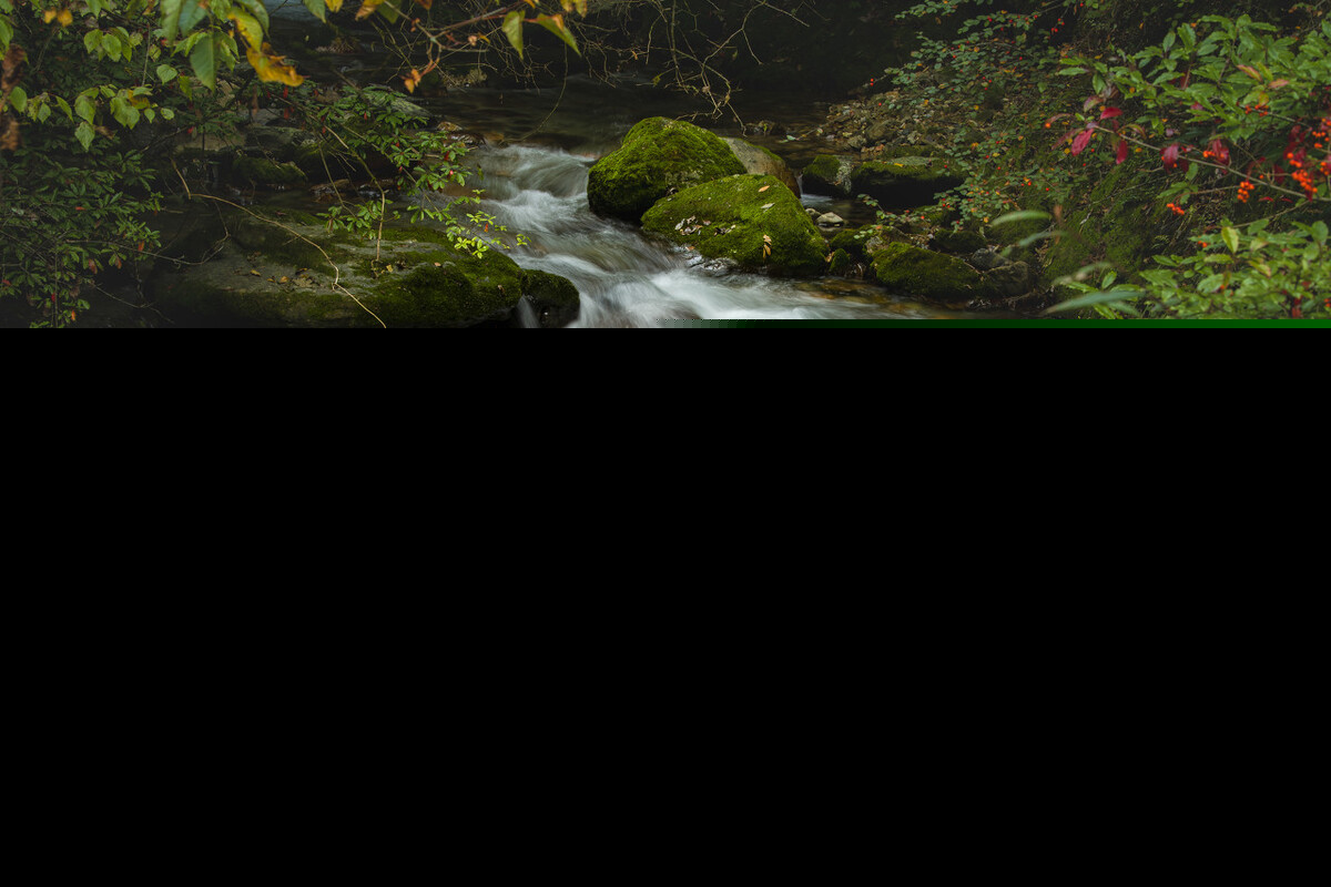 王维山居秋暝赏析（山居秋暝原文及翻译）