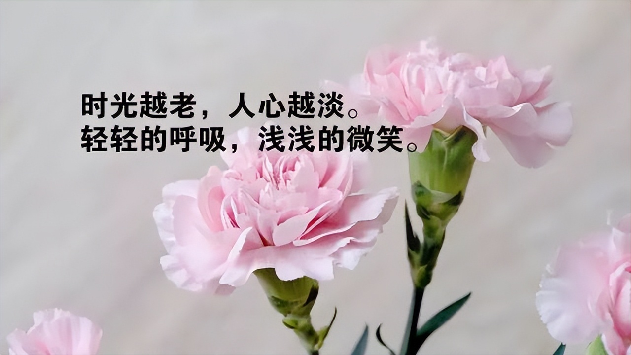 看淡一切释然的说说（人生感悟致自己精辟）