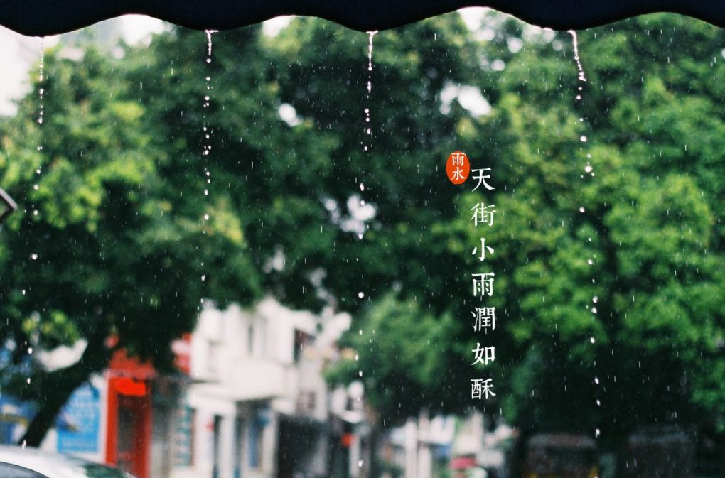 有关于雨水节气的诗句（雨水节气的古诗俗语和谚语）
