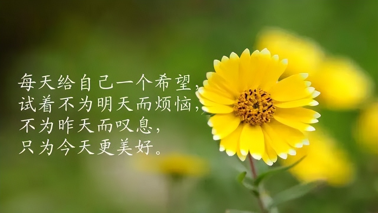 简单生活心态的句子（放好心态顺其自然的句子）