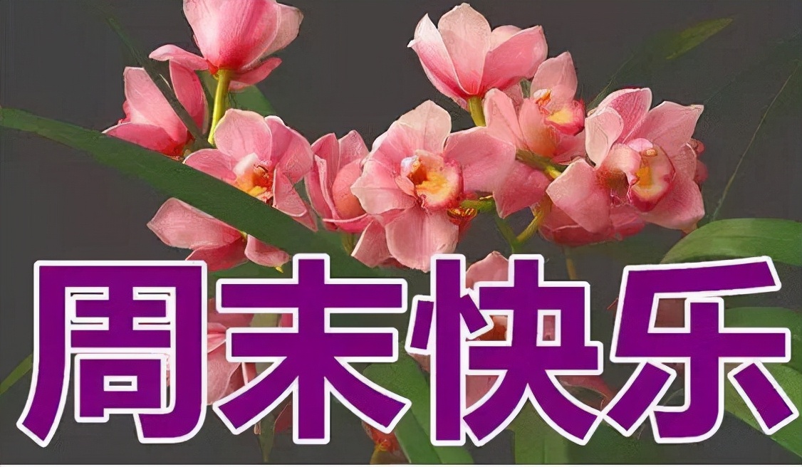 周末愉快的句子简短（周末暖心的短句）