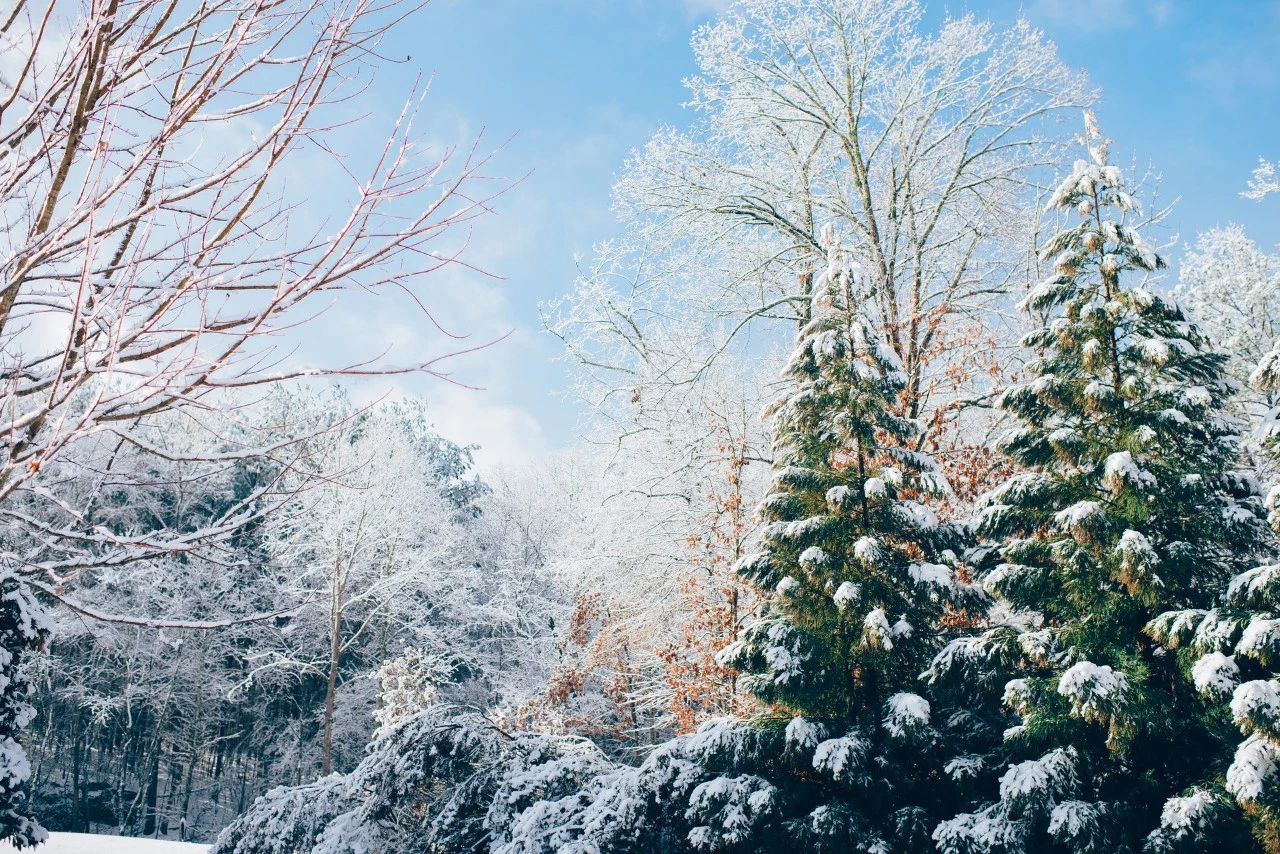 与雪有关的诗句精选（描写雪的古诗词名句）