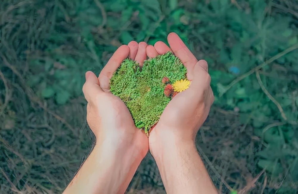赞美老师的短文50字（感恩老师的优美段落）