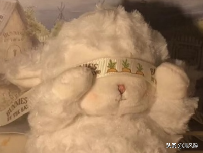 七夕说说短句唯美（关于七夕的优美句子）