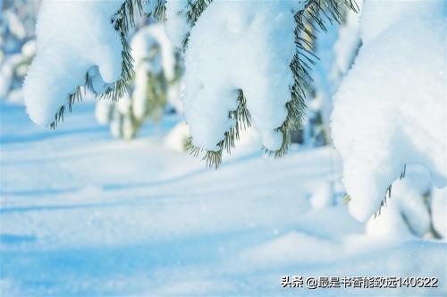 带颜色的诗句有哪些（含有表示颜色的词的诗句）