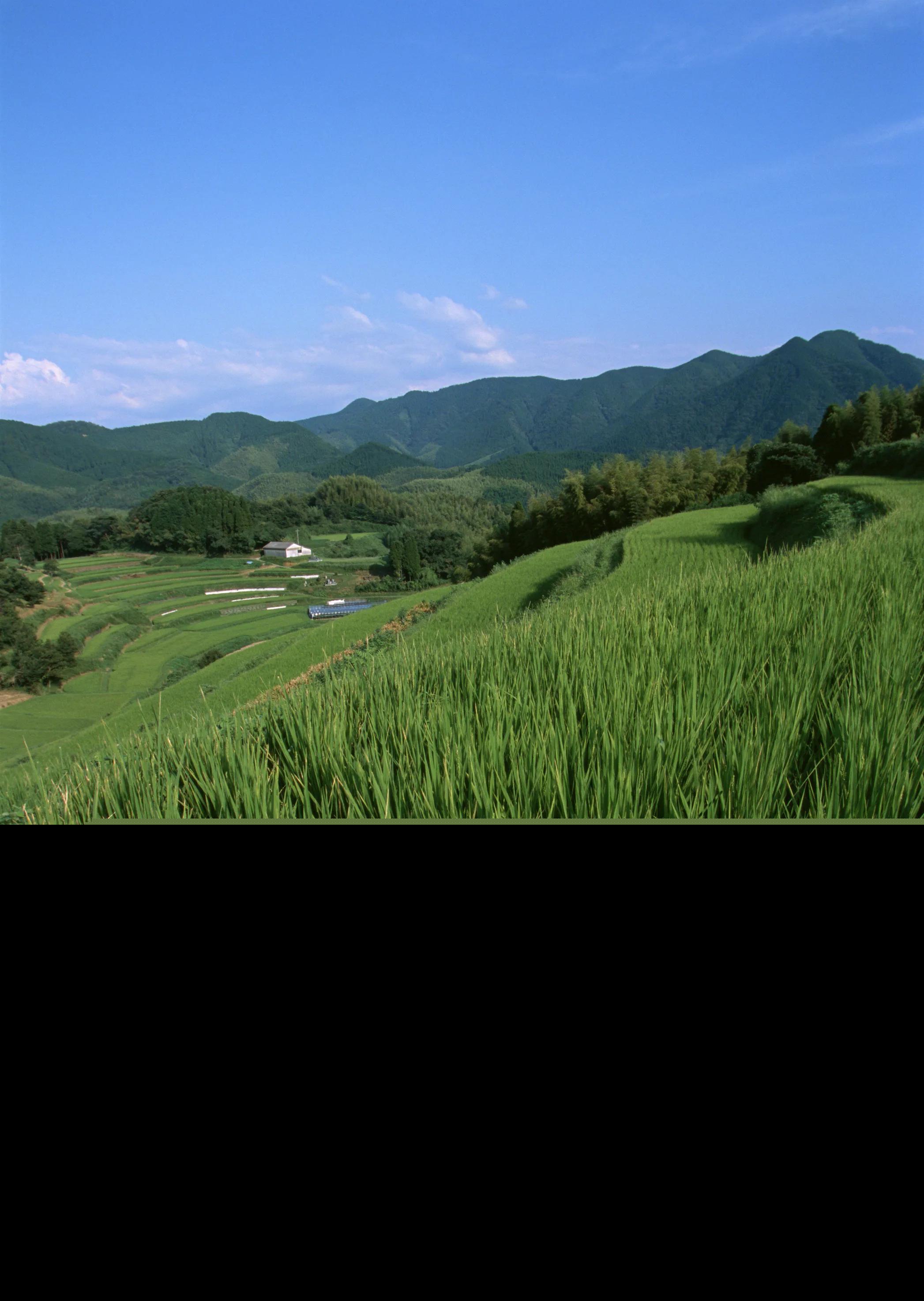 写景美文加赏析（优美文章赏析加感悟）