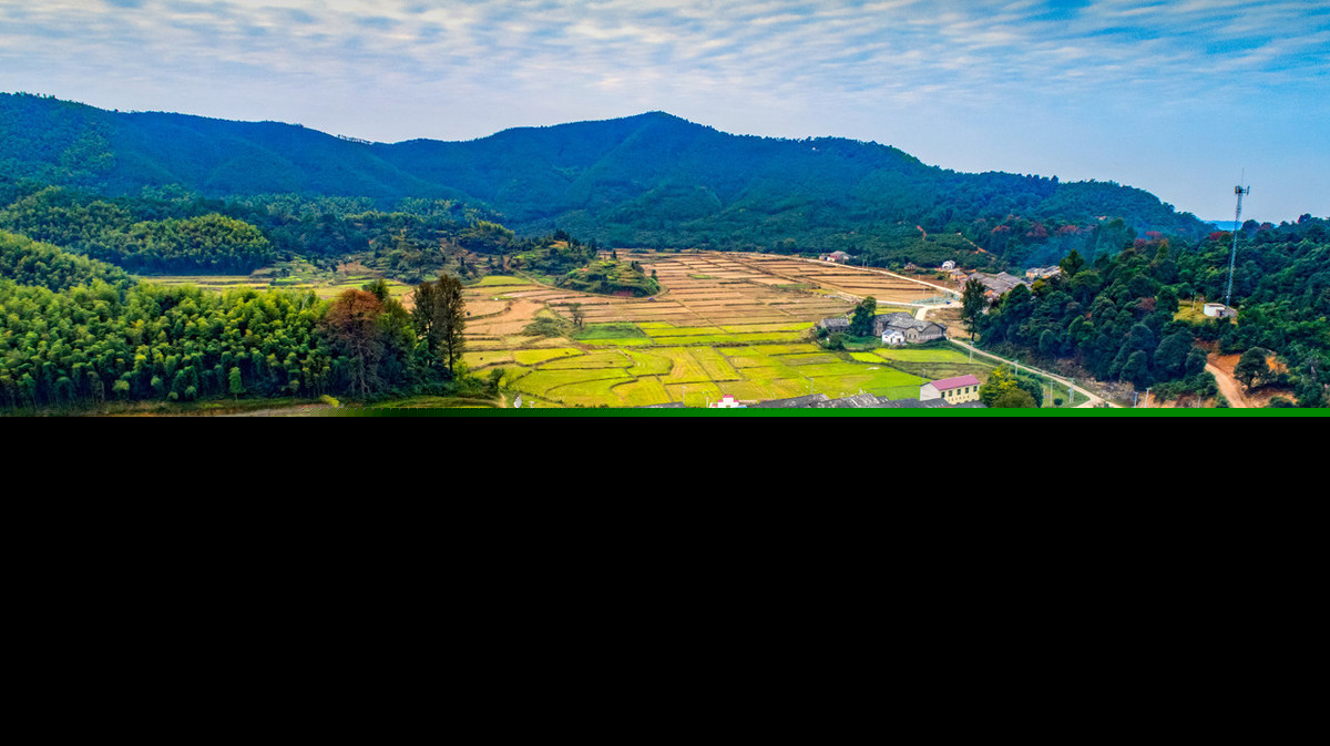清平乐村居讲的什么（清平乐村居翻译）