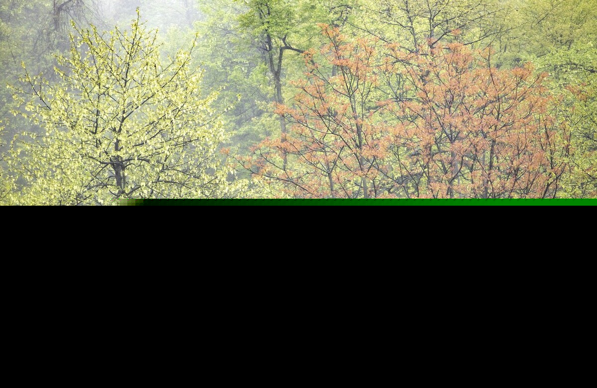 带雨字的成语有哪些（带雨的词语大全及解释）