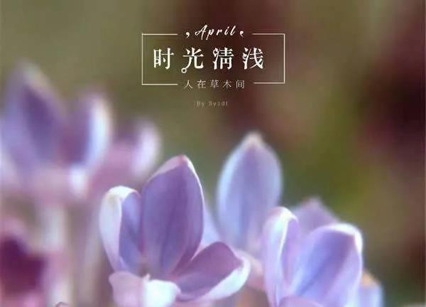 岁月静好的唯美句子（平淡幸福的唯美句子）