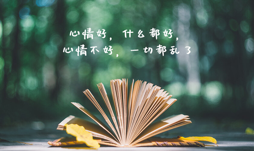 周末愉快的句子简短（周末暖心的短句）