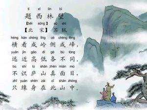 当局者迷旁观者清的诗句（当局者迷旁观者清说明的道理）