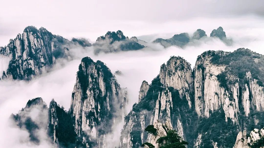 刘禹锡的诗有哪些（关于刘禹锡著名诗词欣赏）