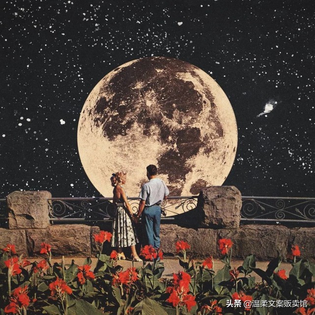 情诗短句最美赏析（浪漫经典爱情诗词名句）