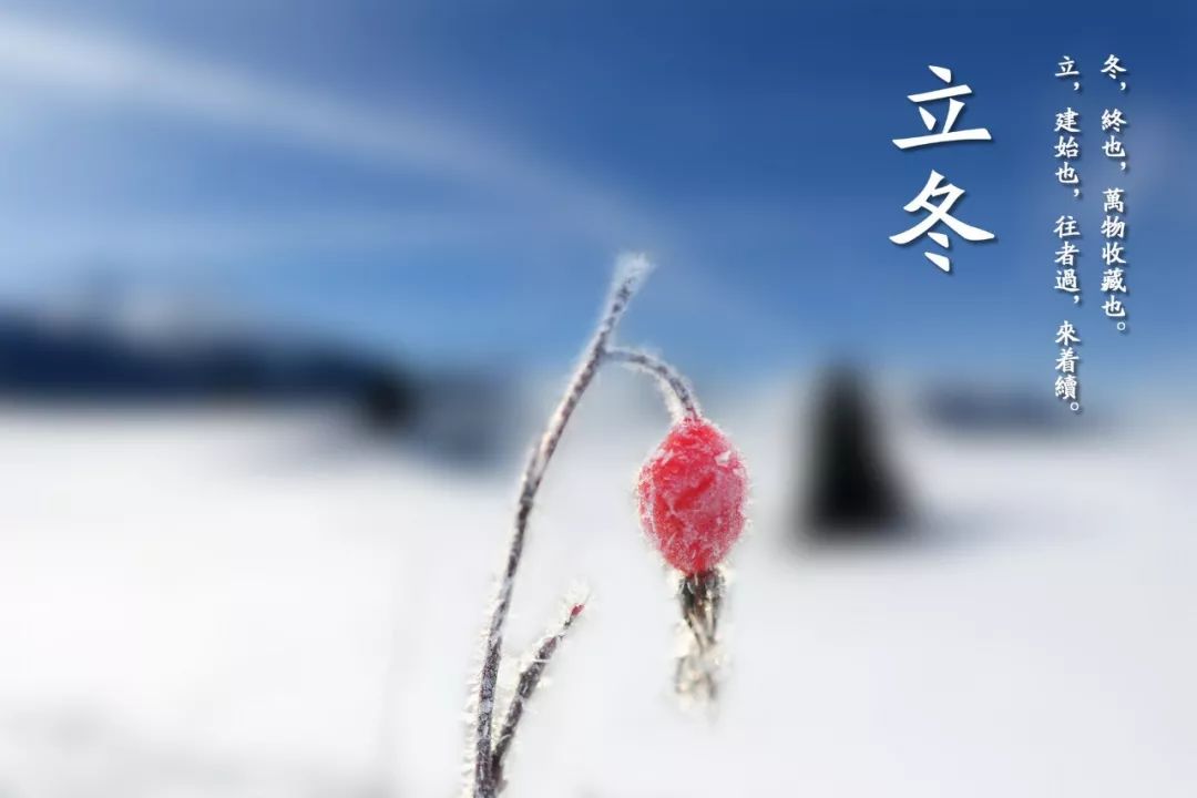 二十四节气的古诗有哪些（关于节气的诗词欣赏）