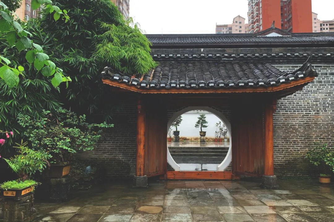 秋雨的诗句有哪些（关于秋雨的诗句古诗词）