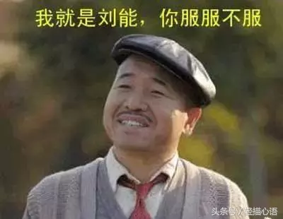 关于刘能经典语录（经典语录励志人生感悟）