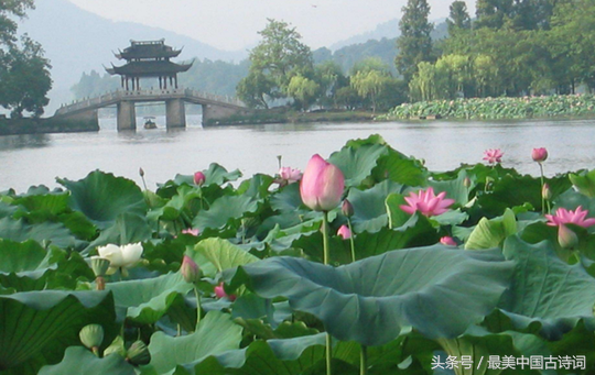 关于西湖的诗句古诗（赞美西湖的诗词欣赏）