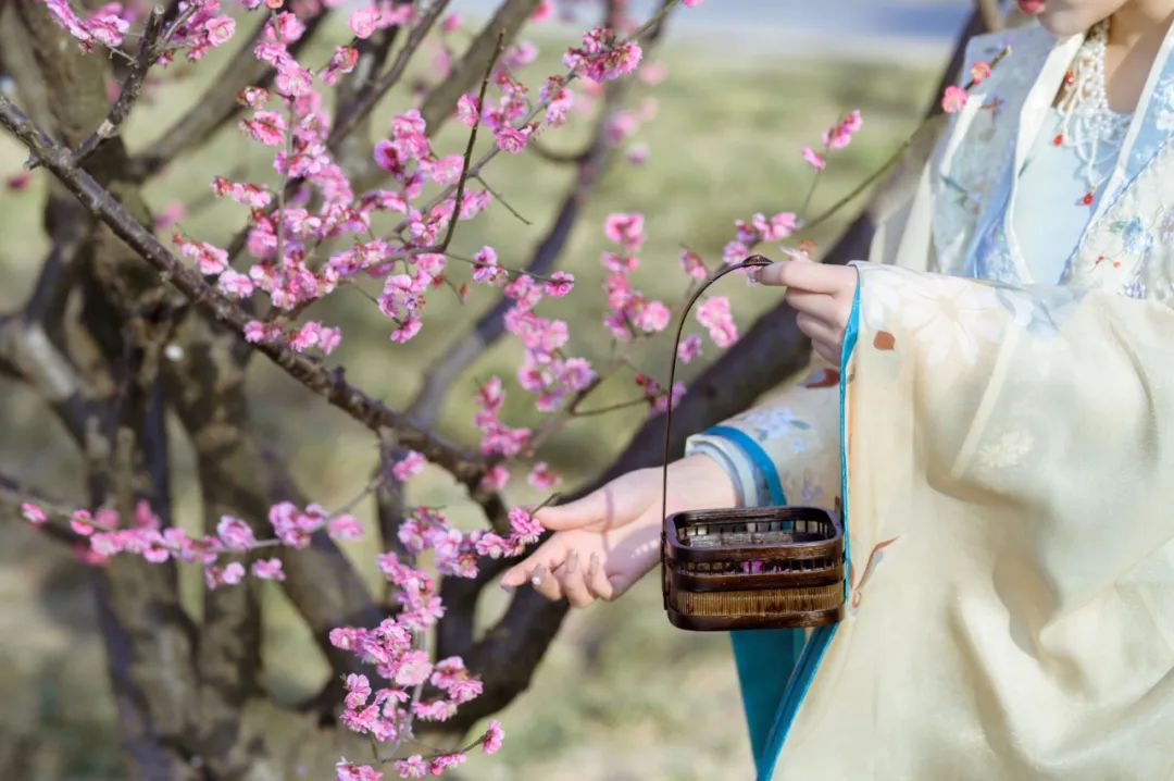 春天诗句唯美古诗（形容春天的诗句唯美）