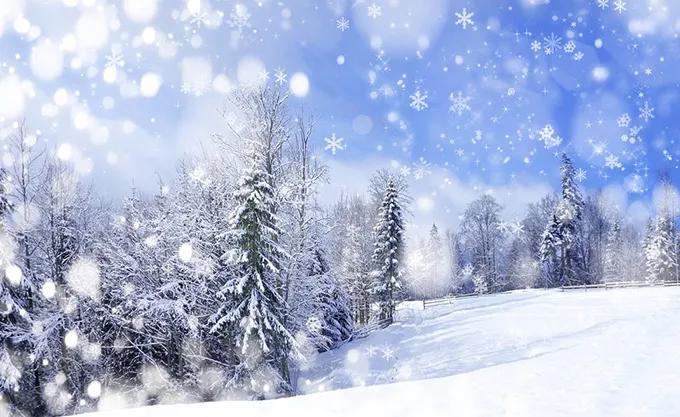 雪的散文随笔（描写雪的散文名篇）