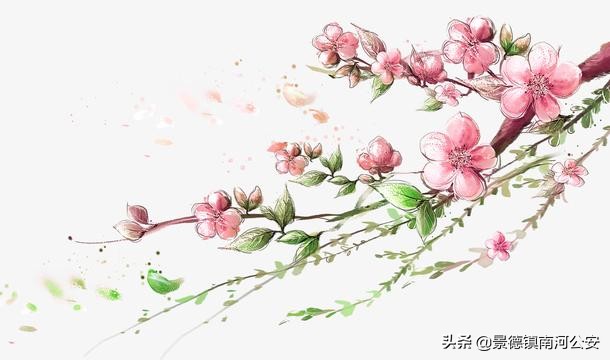 多情只有春庭月全诗（多情只有春庭月原文及赏析）
