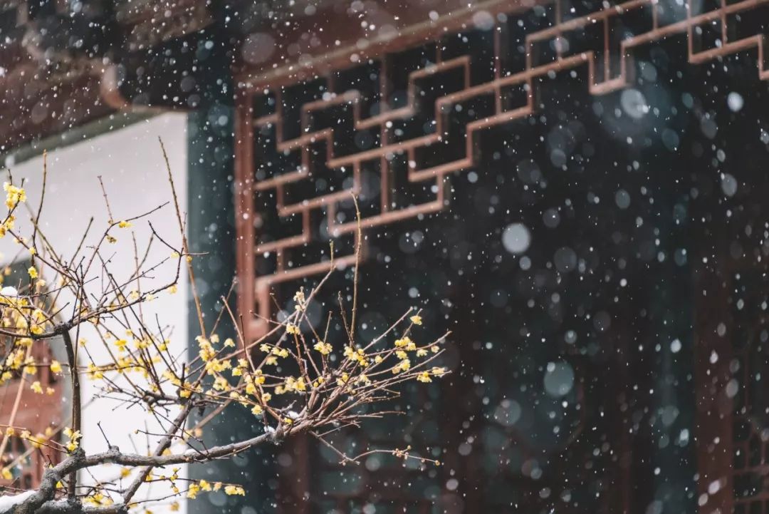 形容天气寒冷的诗句有哪些（天气寒冷人心更冷的诗句）