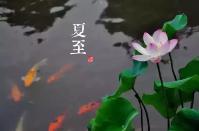 描写夏至的唯美诗句（关于夏至的优美诗句欣赏）