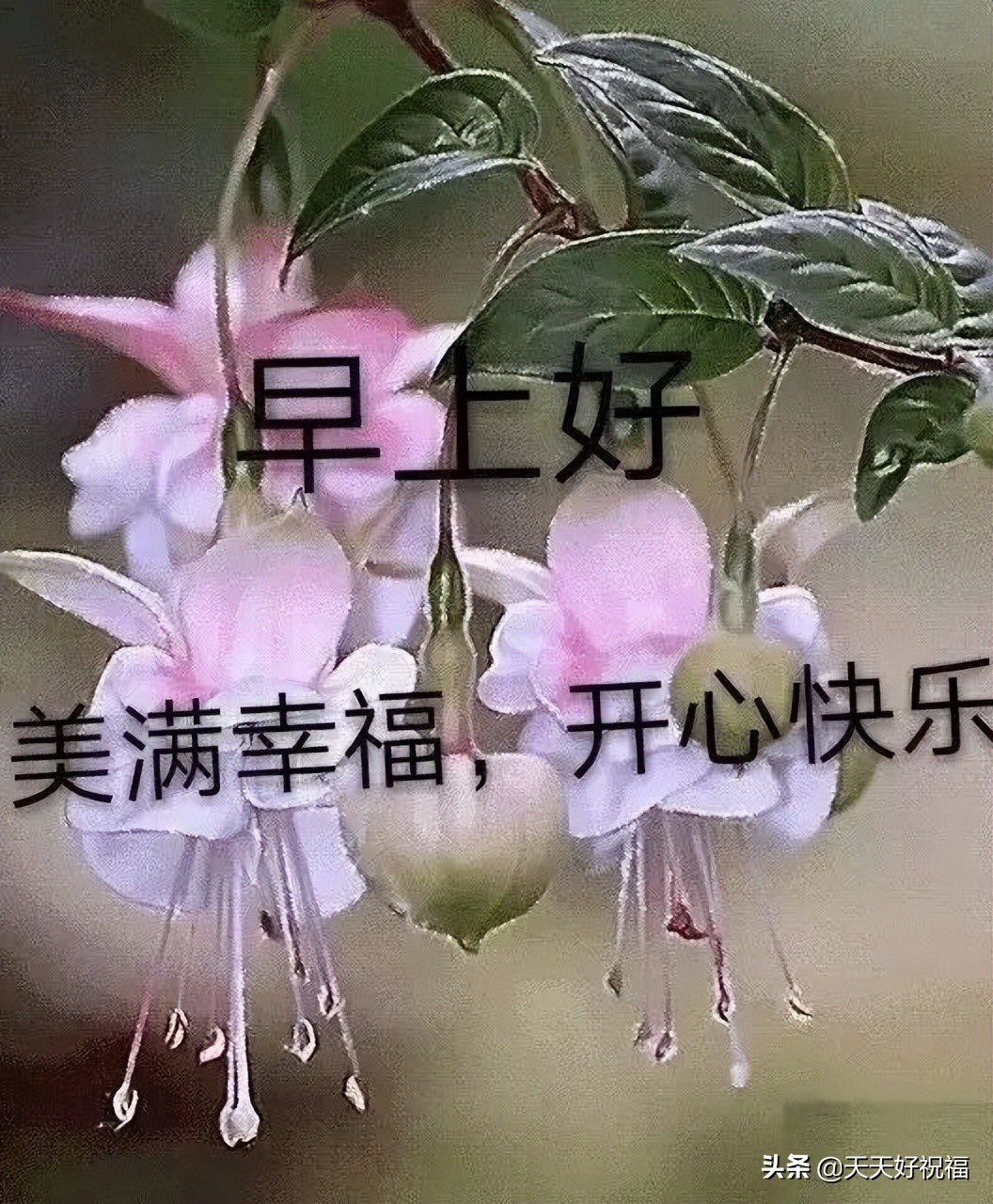 适合所有人的祝福语（最打动人心的祝福语）