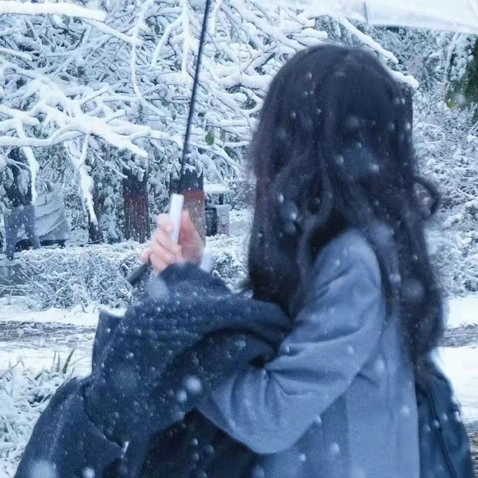 下雪天的唯美文案（雪景发朋友圈配文）