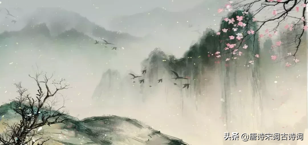 描写桃花的诗词名句（赞美桃花的名言佳句）