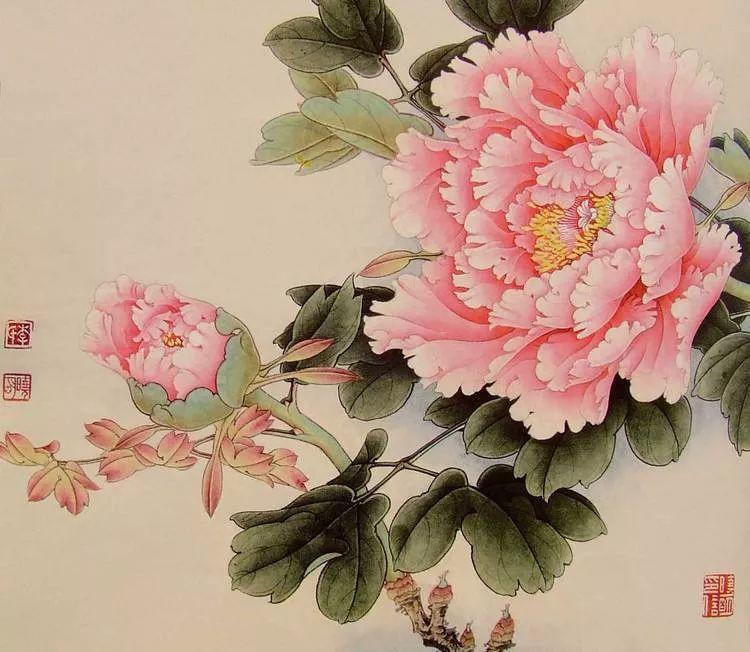 跟花有关的诗句有寓意（花的象征意义和诗句）
