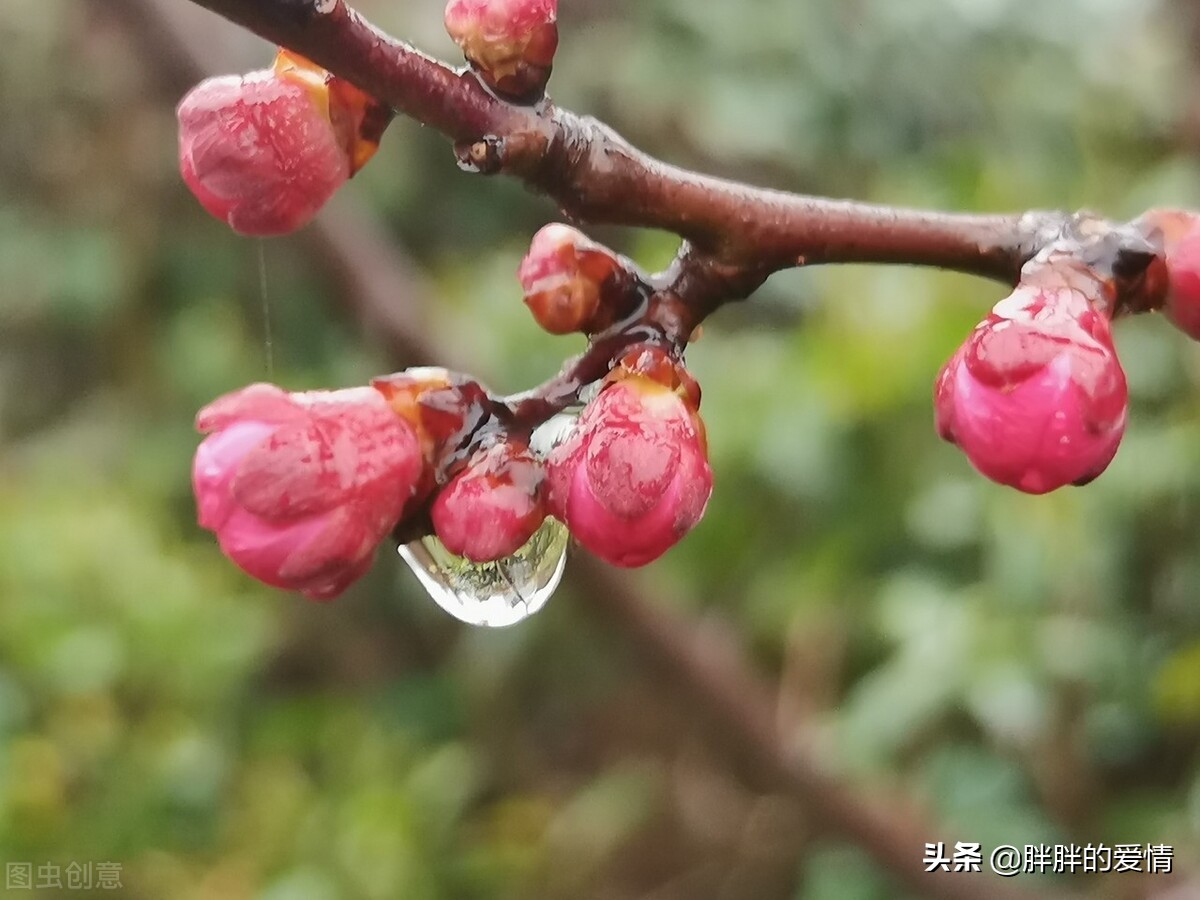 阳光心态正能量的句子（正能量暖心的句子）