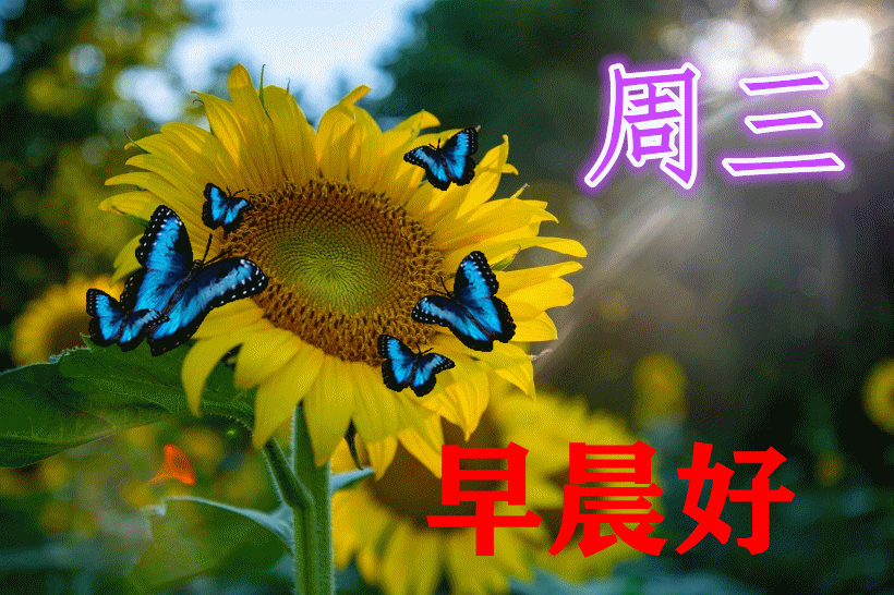 关心的话语句子（情商高安慰人的句子）