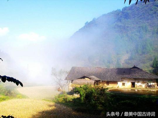 待到重阳日还来就菊花全诗（关于节日风俗的古诗）