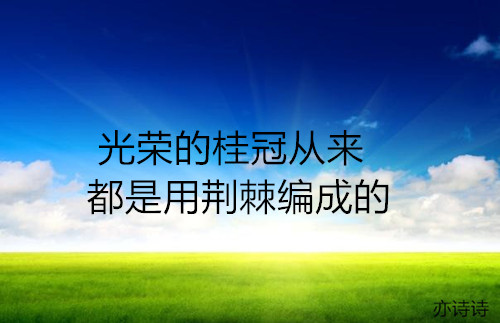 艾青的诗集摘抄（摘抄艾青的现代诗）