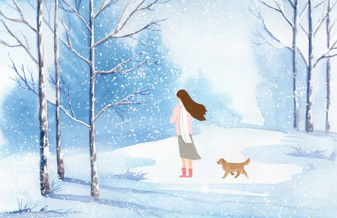 一句简短的雪景句子（雪景发朋友圈的精美句子）