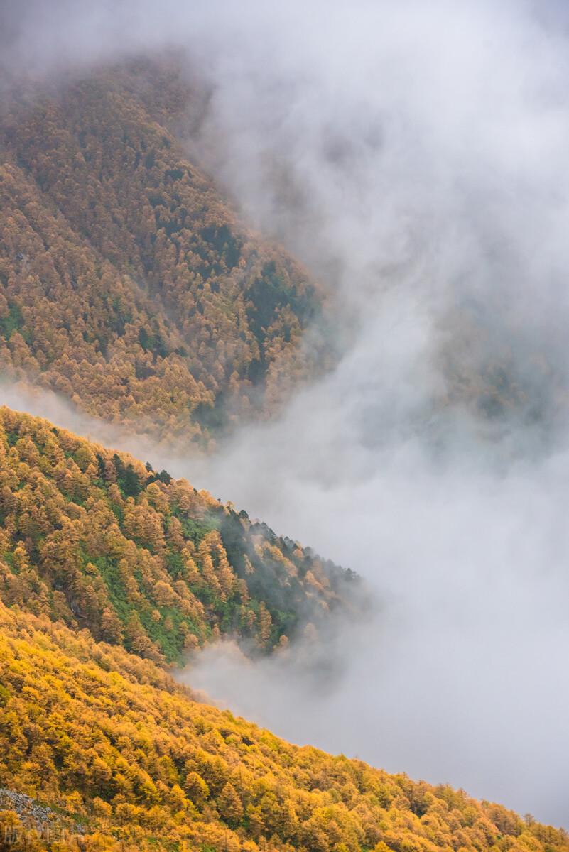 秋波媚陆游赏析（陆游诗秋波媚译文鉴赏）