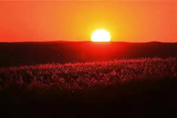 夕阳无限好只是近黄昏的哲理（日落美景的诗句）