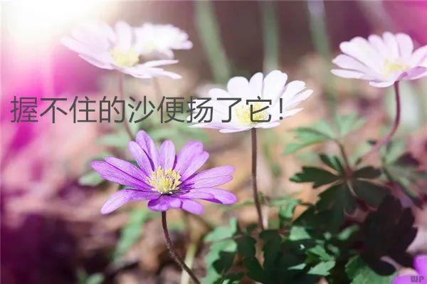 个性说说心情短语（个性经典句子说说心情分享）