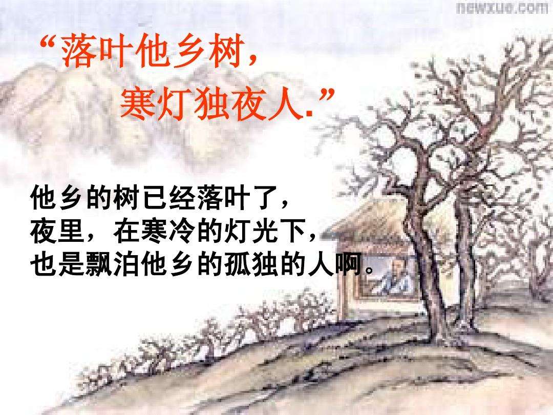 落叶他乡树的下一句是什么（落叶他乡树全诗及翻译）
