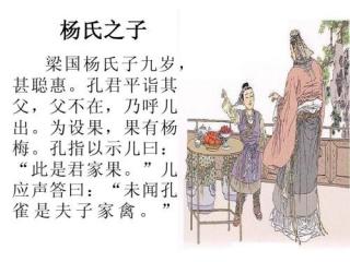 杨氏之子翻译和注释（杨氏之子原文赏析）