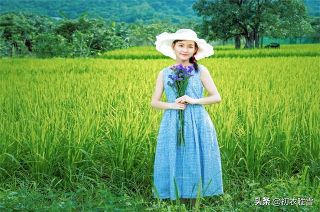 十里稻花香的完整诗（与稻谷有关的诗句）