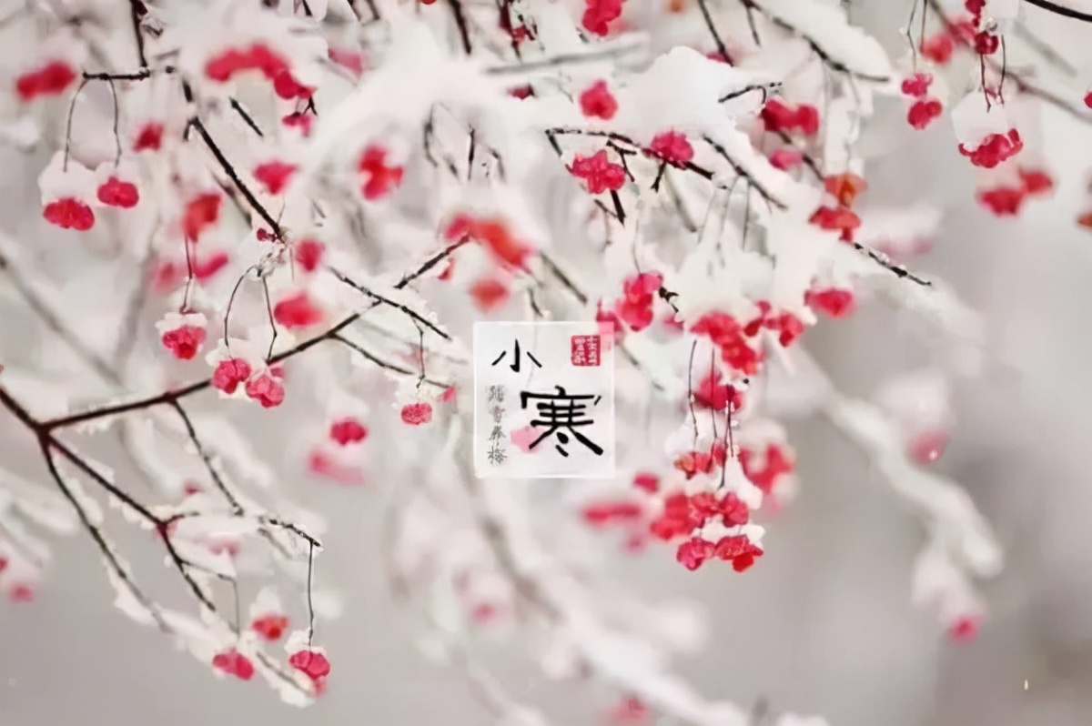 小寒祝福语简短有趣（小寒节气早安问候语）