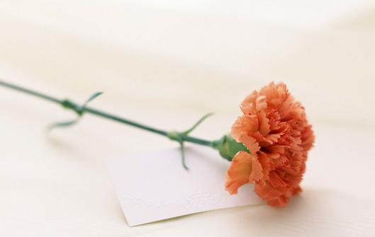 教师节祝福英语（一句简短的英文暖心话送老师）